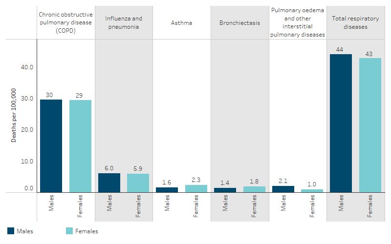This bar chart shows that chronic obstructive pulmonary disease was the leading cause of death due to respiratory disease for both First Nations males and females (30 and 29 per 100,000 deaths, respectively). This was followed by influenza and pneumonia for First Nations males and females (6.0 and 5.9 per 100,000 deaths, respectively).