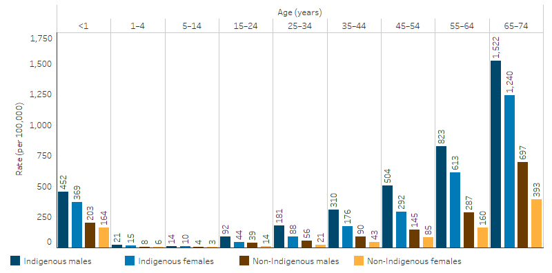 This bar chart shows that, for all age groups, the rate of avoidable mortality for males was higher than that for females, and the rate for Indigenous was higher than for non-Indigenous; from 5-14 age group, it increased with age; for babies less than 1 year old, the Indigenous rate was 430 per 100,000 for boys and 372 for girls, compared with non-Indigenous rate 202 for boys and 168 for girls, for the age group 65-74, the Indigenous rate was 1,683 per 100,000 for males and 1,496 for females, compared with non-Indigenous rate 700 for males and 387 for females.