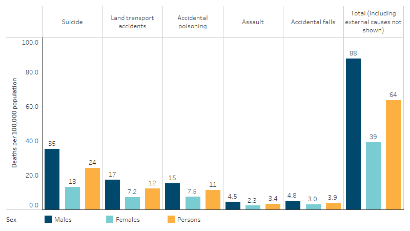 This bar chart shows that suicide was the leading cause of injury and poisoning death for First Nations males and females (35 per 100,000 and 13 per 100,000, respectively). For First Nations males the second leading cause of injury and poisoning deaths was land transport accidents (17 per 100,000) while for First Nations females it was accidental poisoning (7.5 per 100,000).