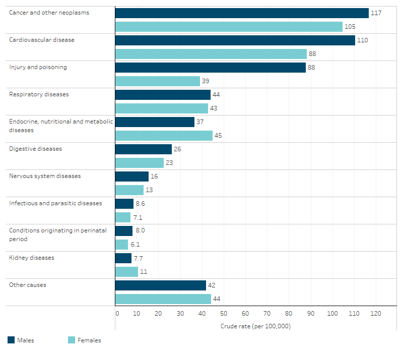 This bar chart shows that the leading causes of death for both First Nations males and females was cancer and other neoplasms, followed by cardiovascular disease. Death rates for First Nations males were higher than for First Nations females across most leading causes, except for kidney diseases and endocrine, nutritional and metabolic diseases.