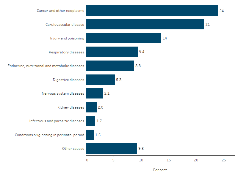 The bar chart shows that the top causes of deaths among First Nations people were cancer and other neoplasms (24%), cardiovascular disease (21%), injury and poisoning (14%), respiratory diseases (9.4%) and endocrine, nutritional and metabolic disorders (8.8%).