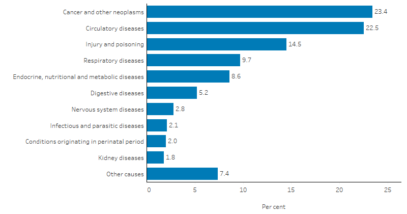The bar chart shows that the top 5 causes of deaths among Indigenous Australians were cancer and other neoplasms (23.4%), circulatory diseases (22.5%), injury and poisoning (14.5%), respiratory diseases (9.7%) and endocrine, nutritional and metabolic disorders (8.6%). 