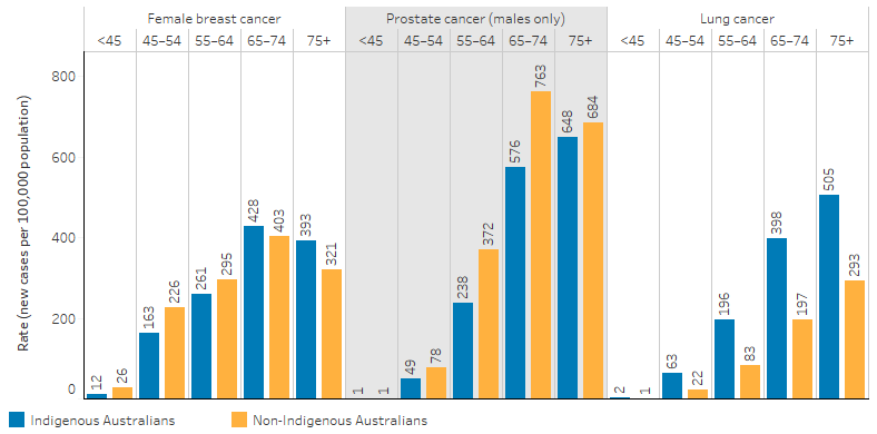 This bar chart shows that the incidence rate for prostate cancer increased with age for Indigenous and non-Indigenous Australians. The rate was higher for non-Indigenous Australians in all age groups. Similarly, the incidence rate of female breast cancer generally increased with age, the exception being for those aged 75 and over where the rate declined slightly. The rate was higher for Indigenous Australians in the 65-74 and 75 and over age groups. The incidence rate for lung cancer was higher for Indigenous Australians in all age groups and ranged from 2 per 100,000 for those aged 45 and under to 506 per 100,000 for those aged 75 and over. 