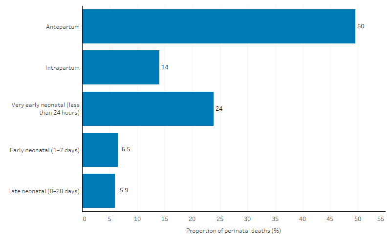 The column chart shows that among First Nations mothers, a higher proportion of perinatal deaths occurred in the antepartum period (49.6%) or less than 24 hours after birth (23.9%). Death rates dropped significantly after the first 24 hours after birth.